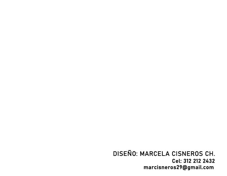 Identidad Visual: Carnavales Del Fuego 2024 Tumaco, imagen 17
