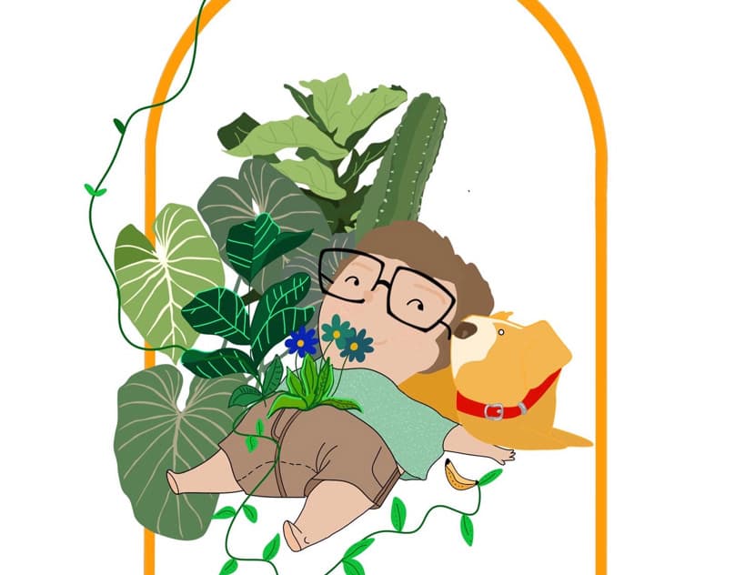 Mis plantas y banana.