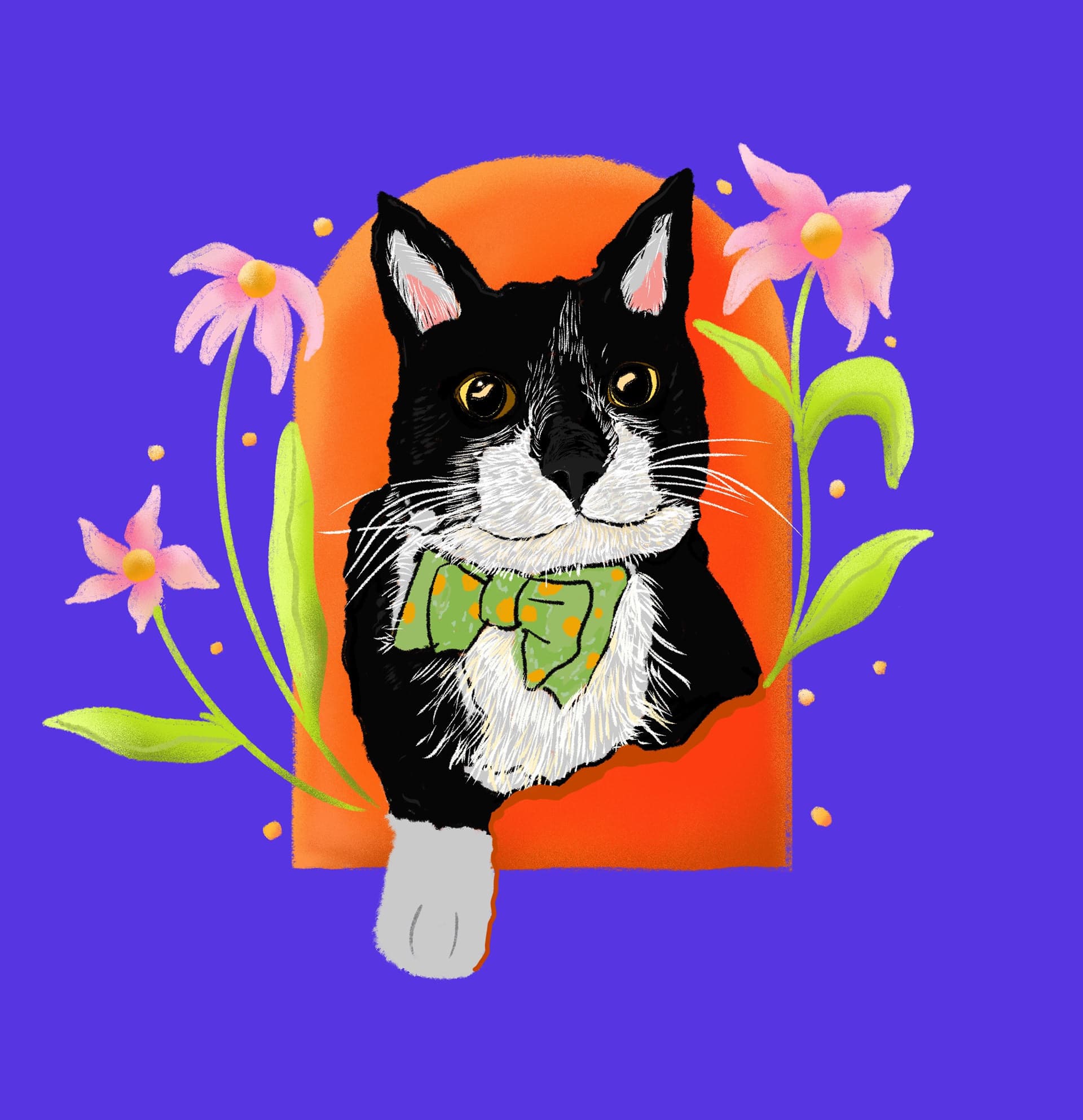 Retrato Cat Ragnar, imagen 3