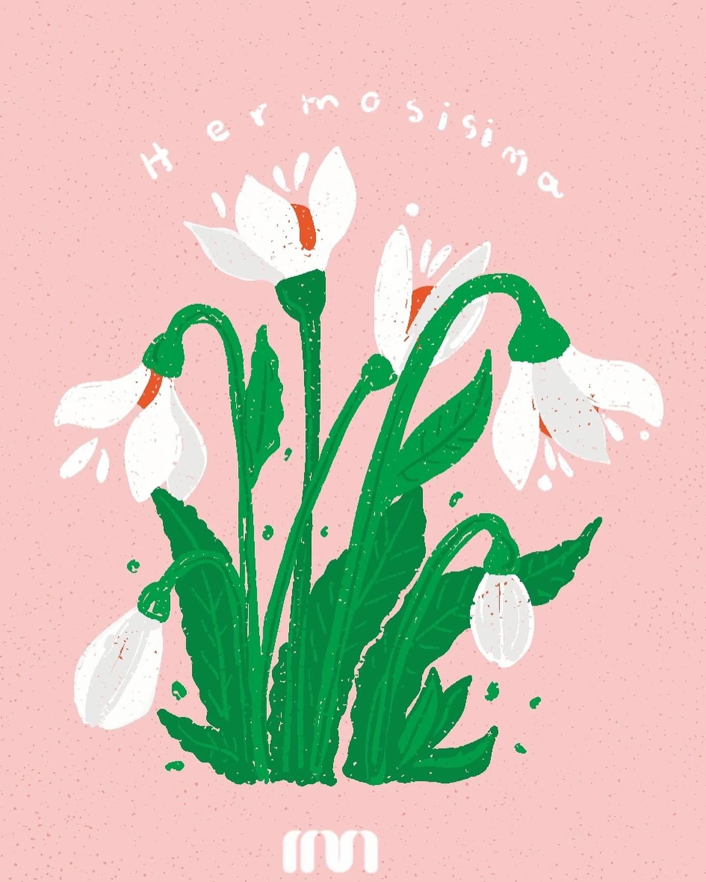 Postales de flores, imagen 4