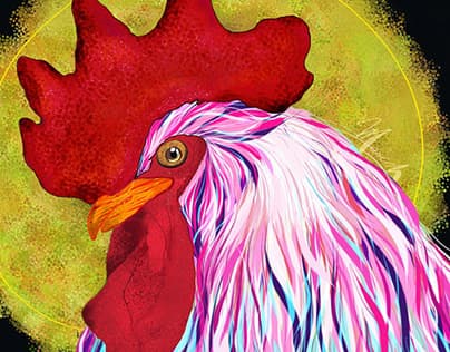 Gallo sol