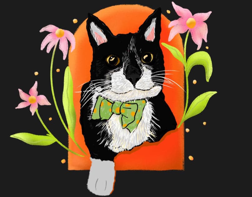 Retrato Cat Ragnar